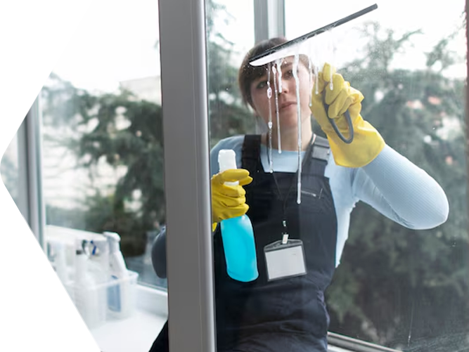 VRT Vasic Gebäudereinigung Glasreinigung und Umzug